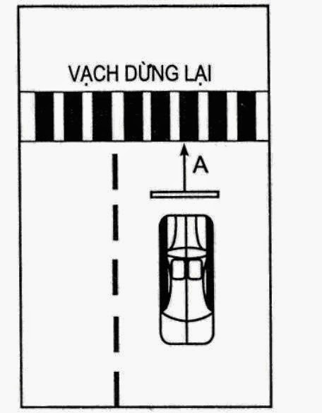 Cách Thi 11 Bài Thi Sa Hình B1, B2 Và C Đỗ Sát Hạch 100% 3 Dừng xe cho người đi bộ
